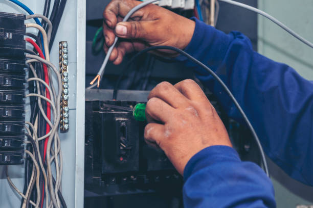 Best Industrial Electrical Services  in Dansville, NY