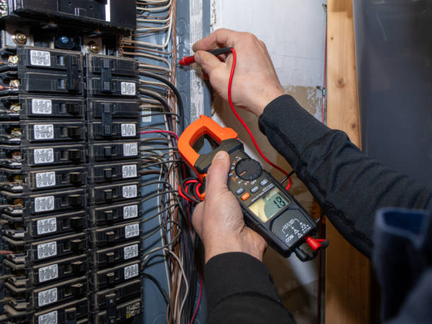 Best Electrical System Inspection  in Dansville, NY